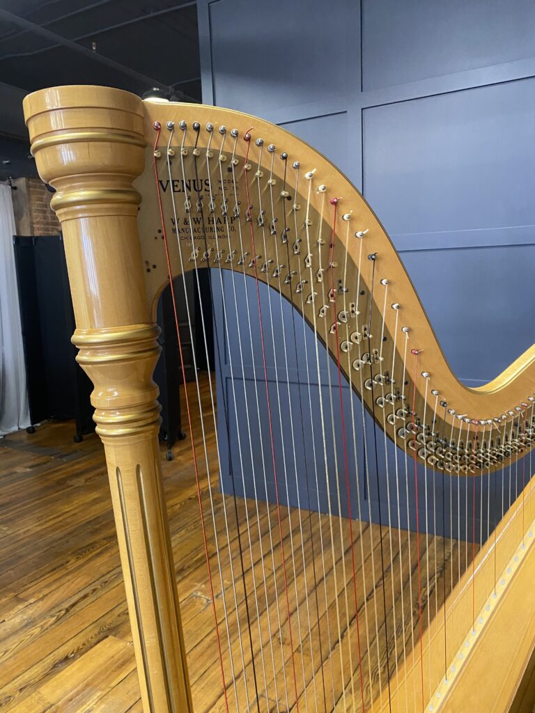 Tri-Cities TN Harpist