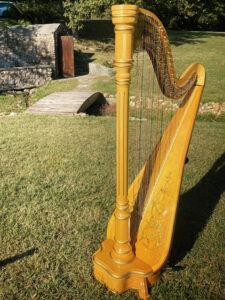 DeMotte IN Harpist