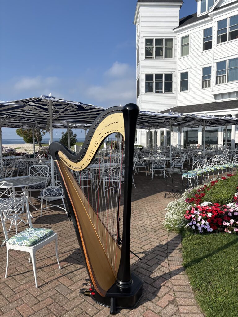 Mount Ida AR Harpist