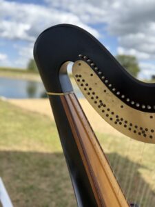 Howe IN Harpist