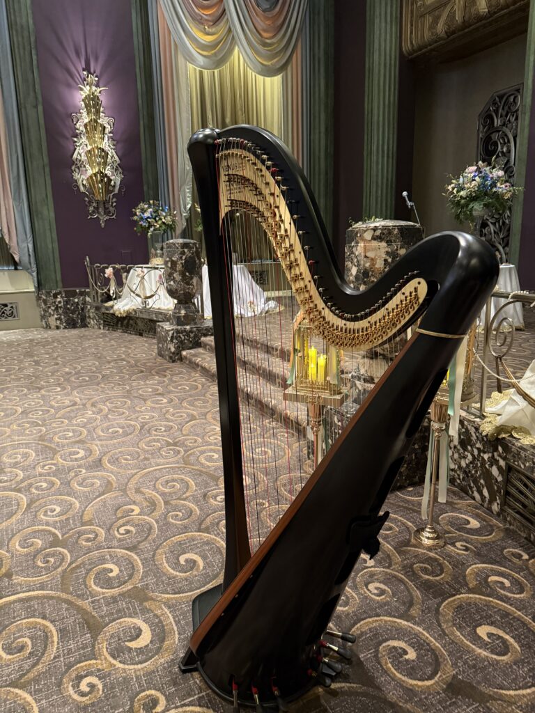 Dayton TN Harpist