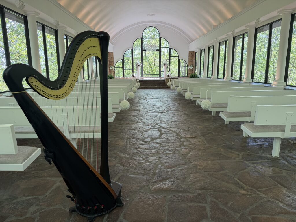 Batesville AR Harpist
