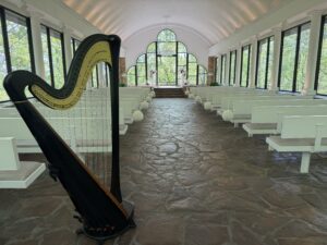 Batesville AR Harpist