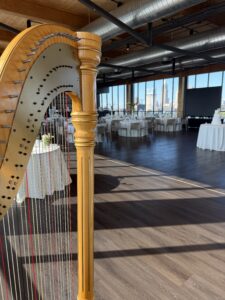 Barbourville KY Harpist