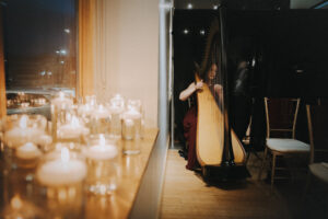 Anderson IN Harpist