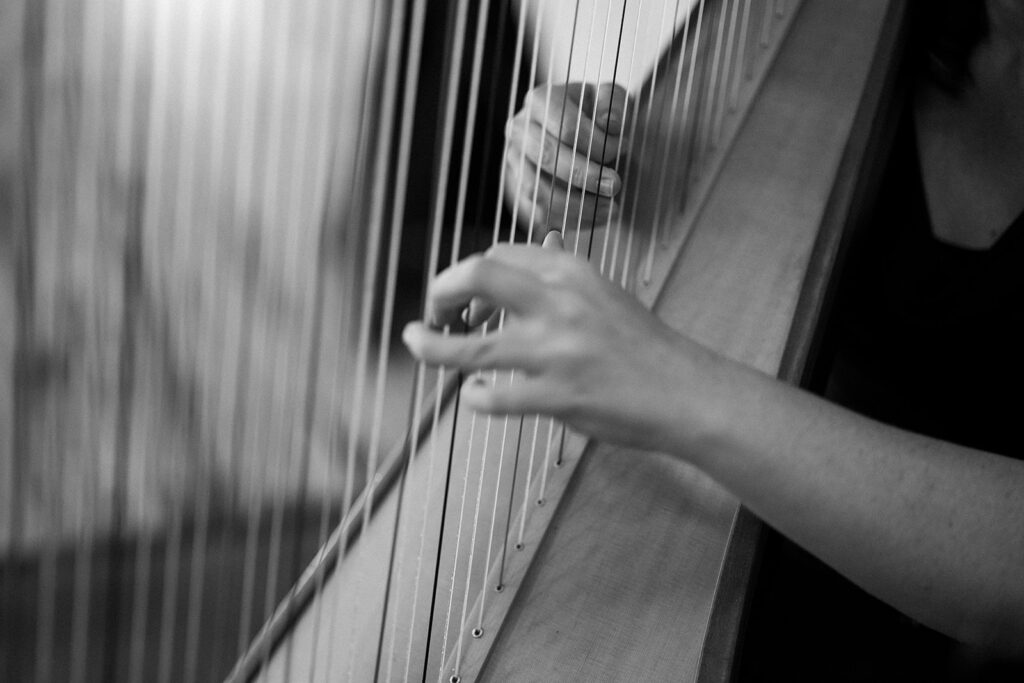 Marshall MN Harpist