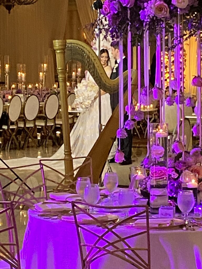 Arabic Music for Weddings Harpist