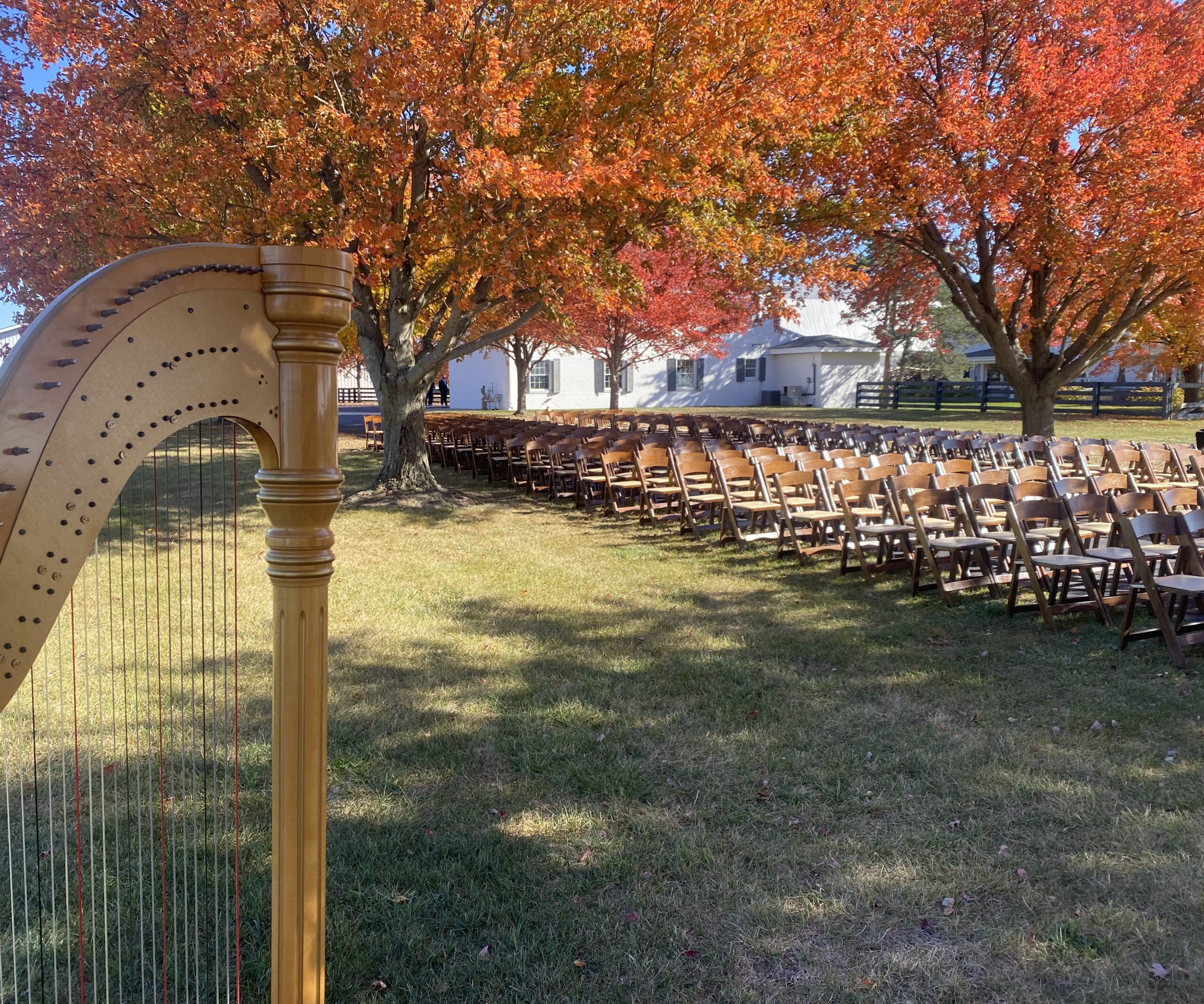 Pine Knot KY Harpist