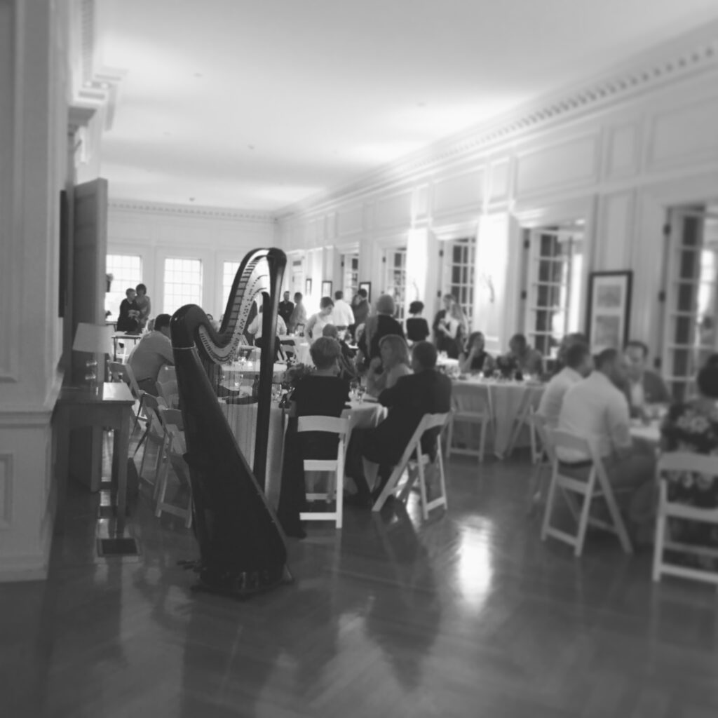 Hardinsburg KY Harpist