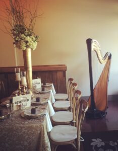 Rockport IN Harpist