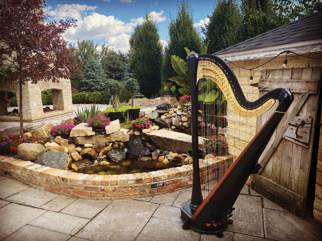 Paris KY Harpist
