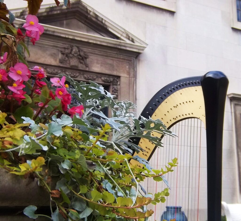 Manchester KY Harpist