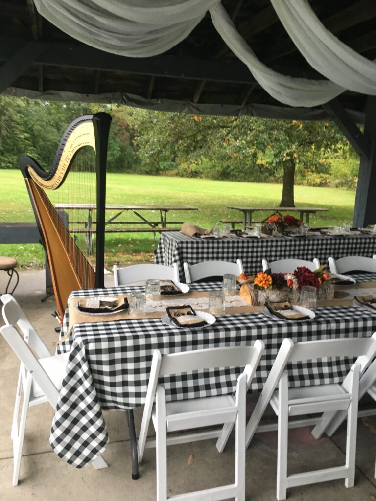 Flemingsburg KY Harpist