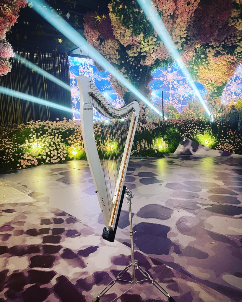 Paris AR Harpist