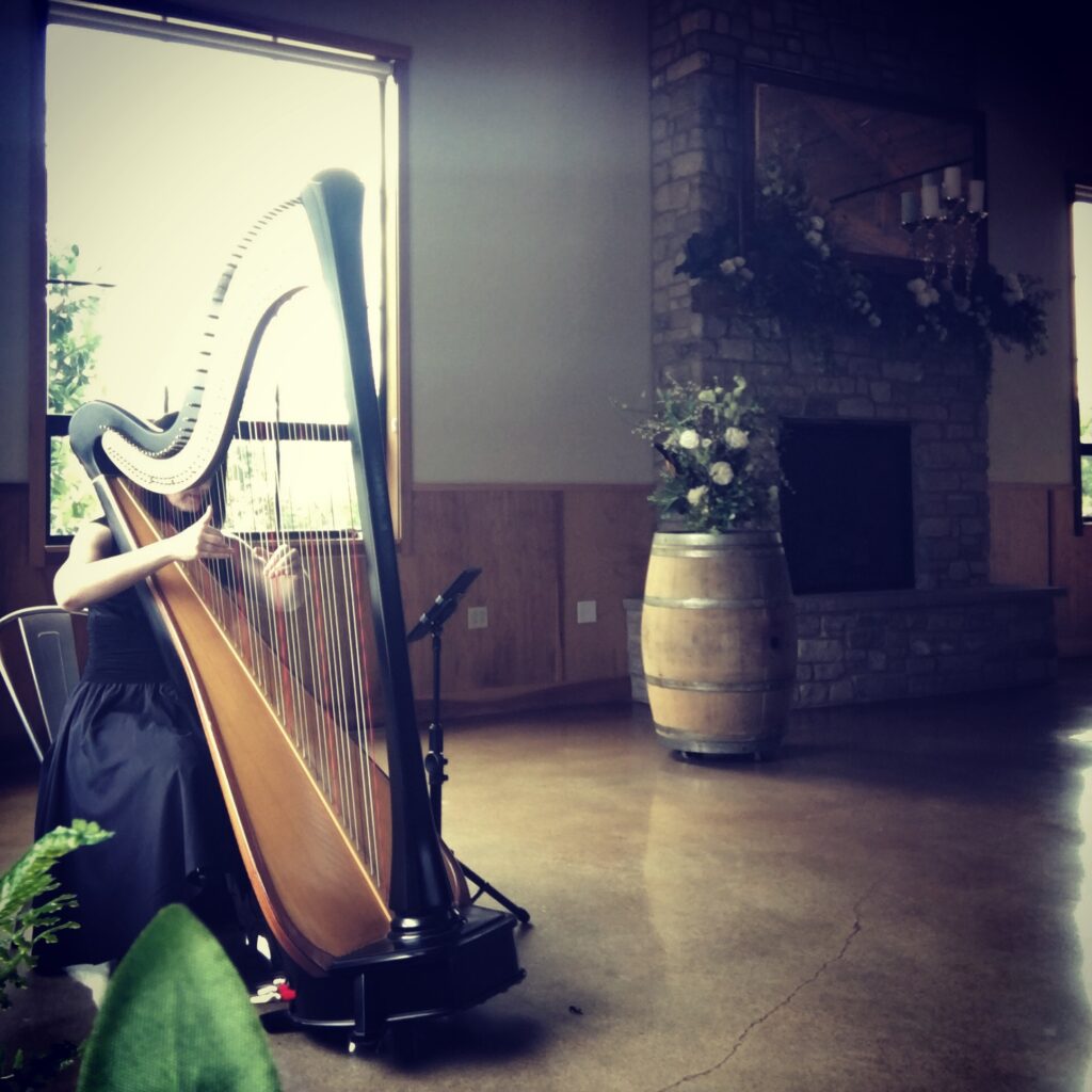 Camden AR Harpist