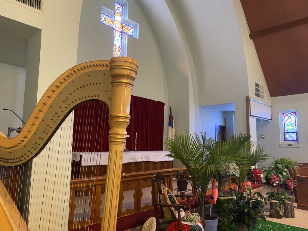 Wedding Harpist South Dakota