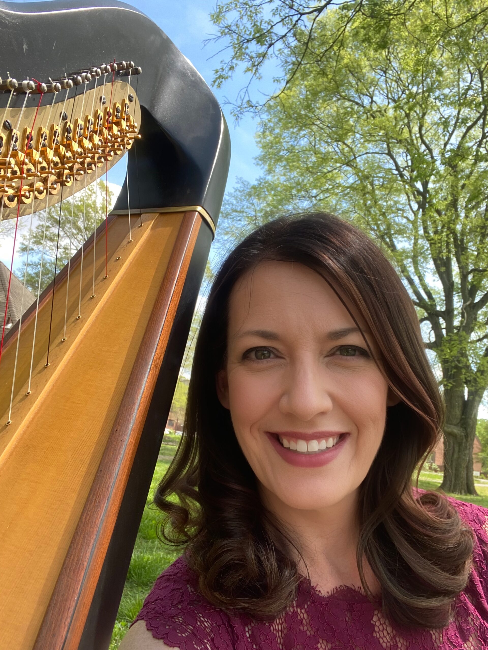New Harmony Harpist