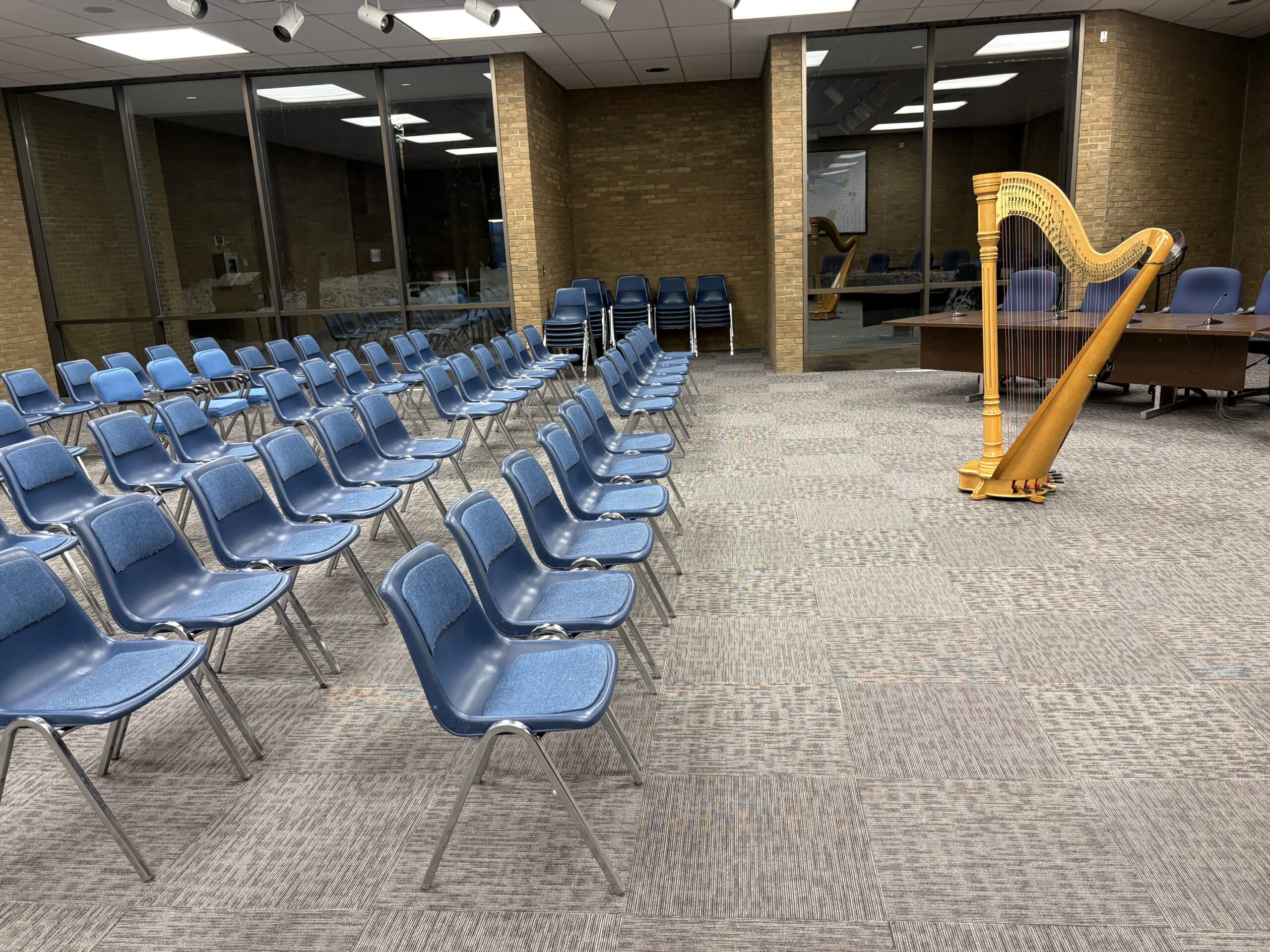 Muskegon MI Harpist