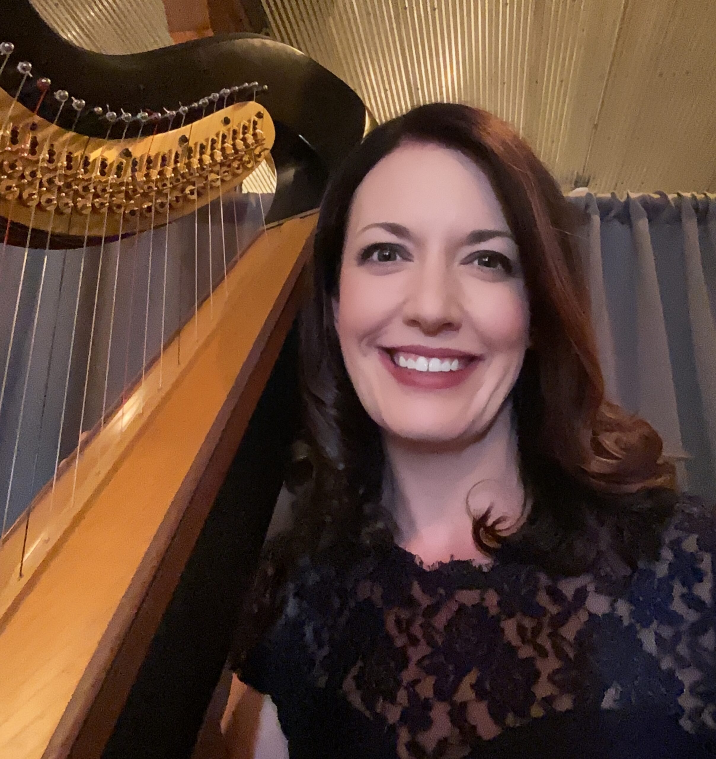 Best Harpist Indiana
