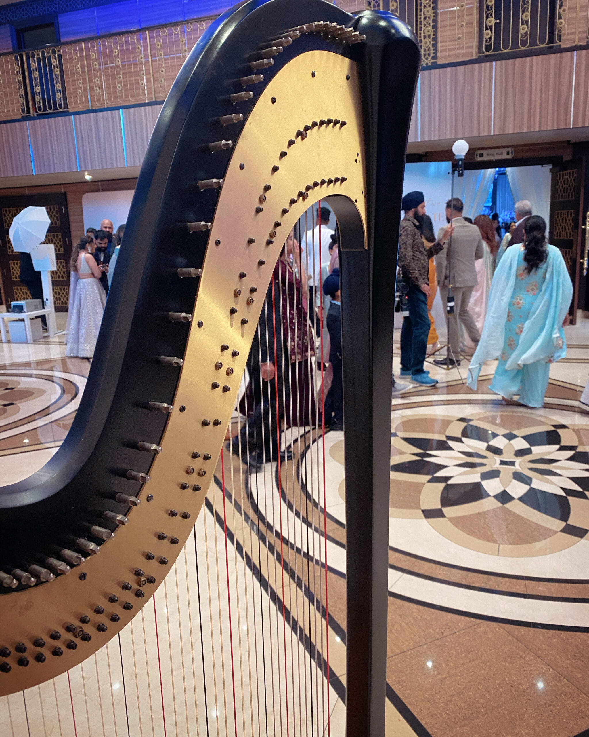 Toronto Wedding Harpist