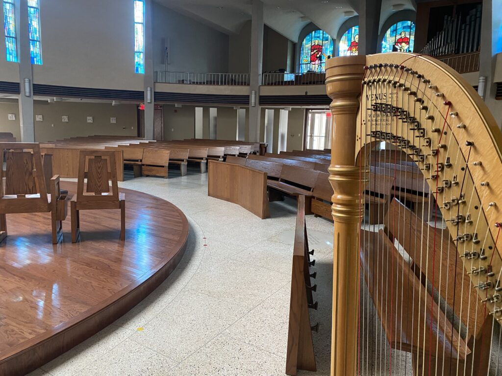 Wedding Harpist LaCrosse WI