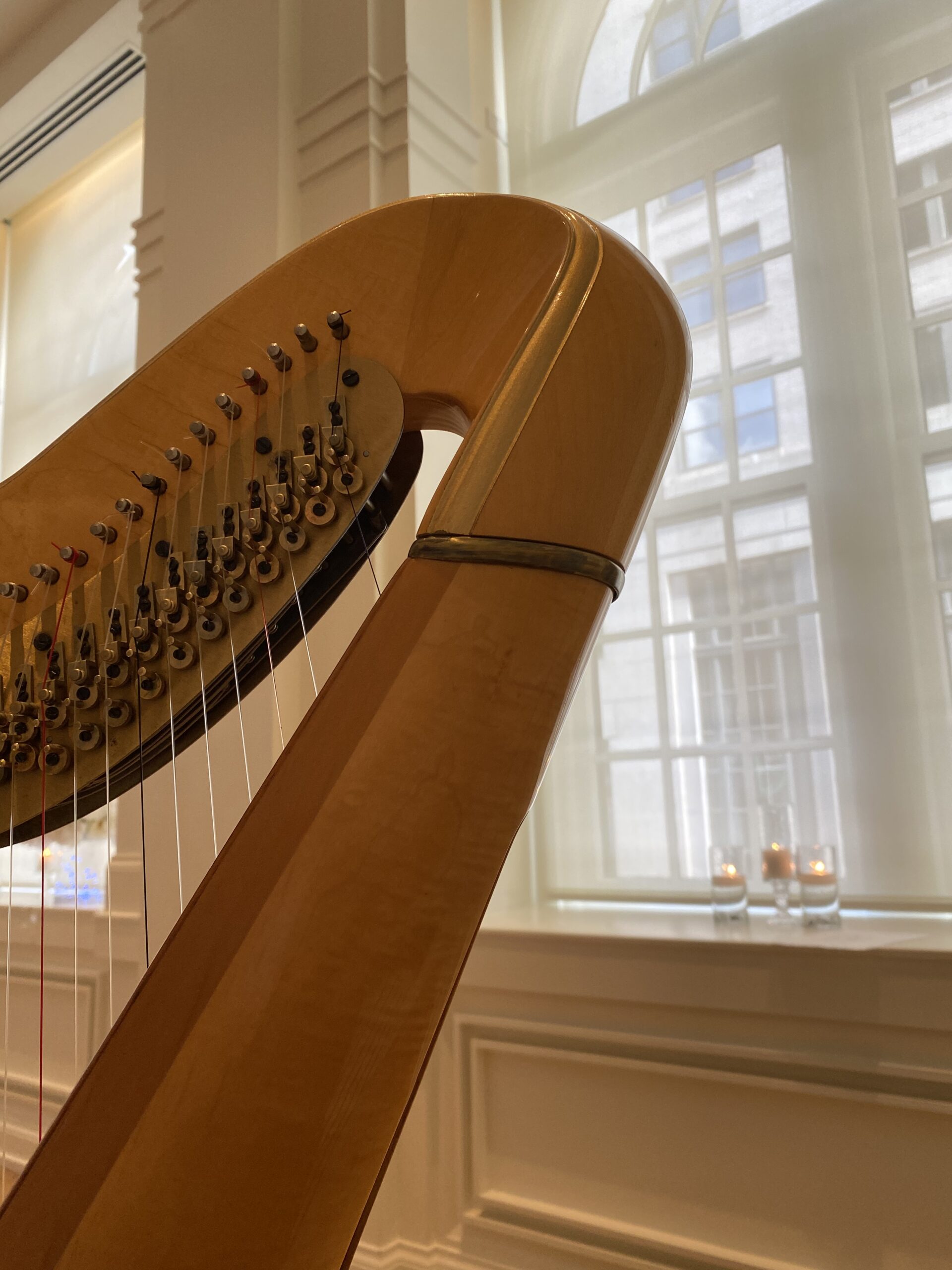 Nashville Harpist