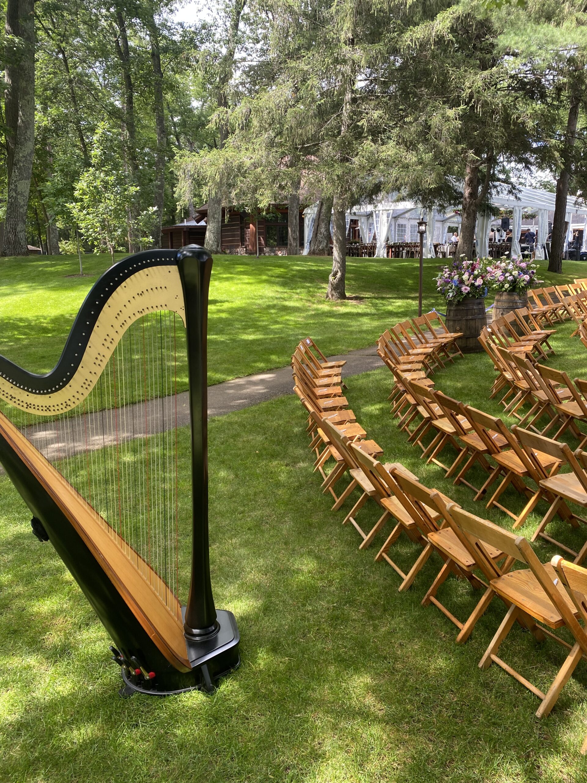 Wedding Harpist Northern Wisconsin
