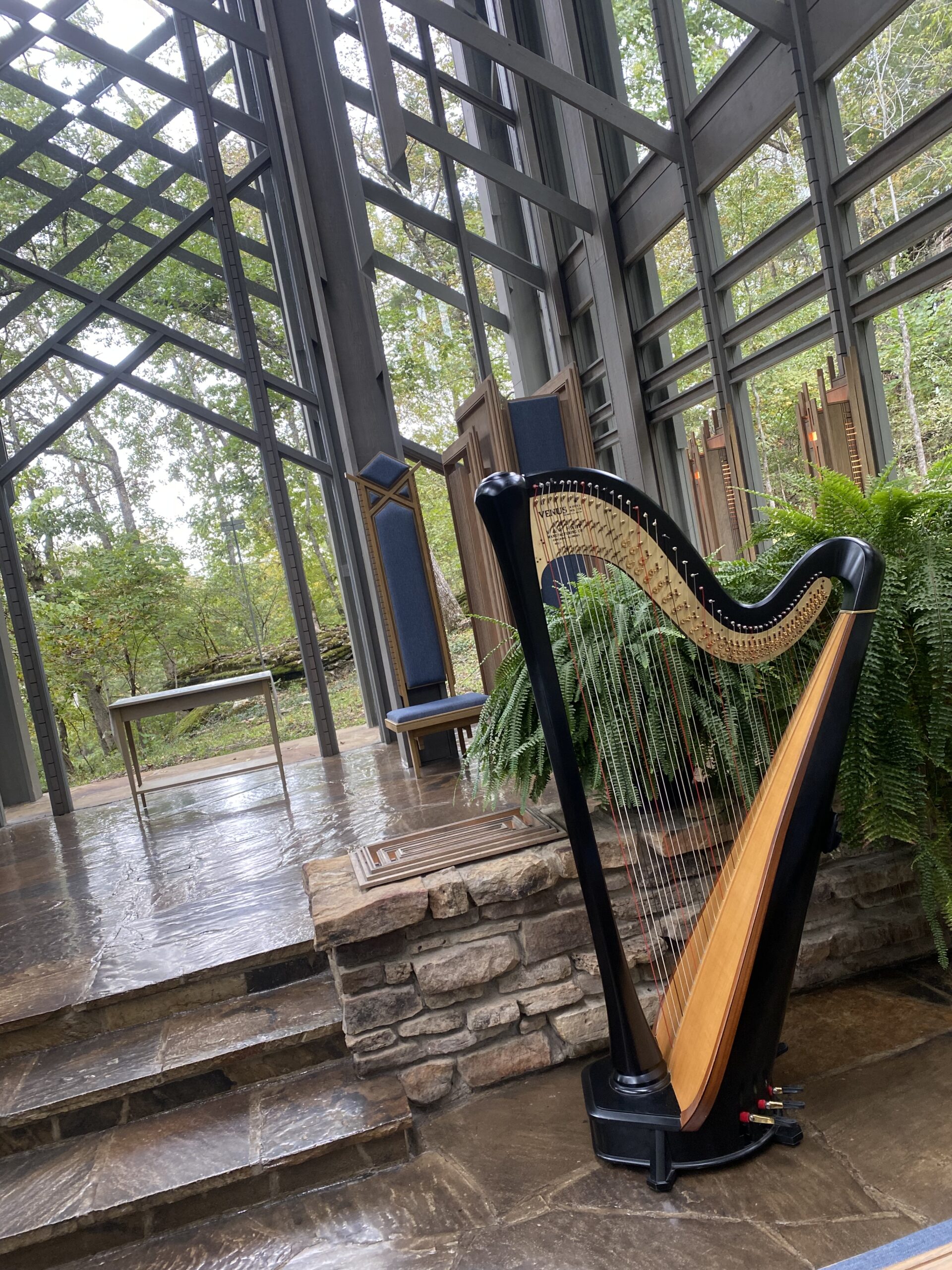 Wedding Harpist Eureka Springs
