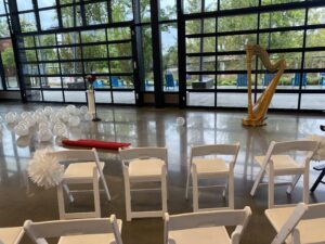 Fort Wayne IN Harpist