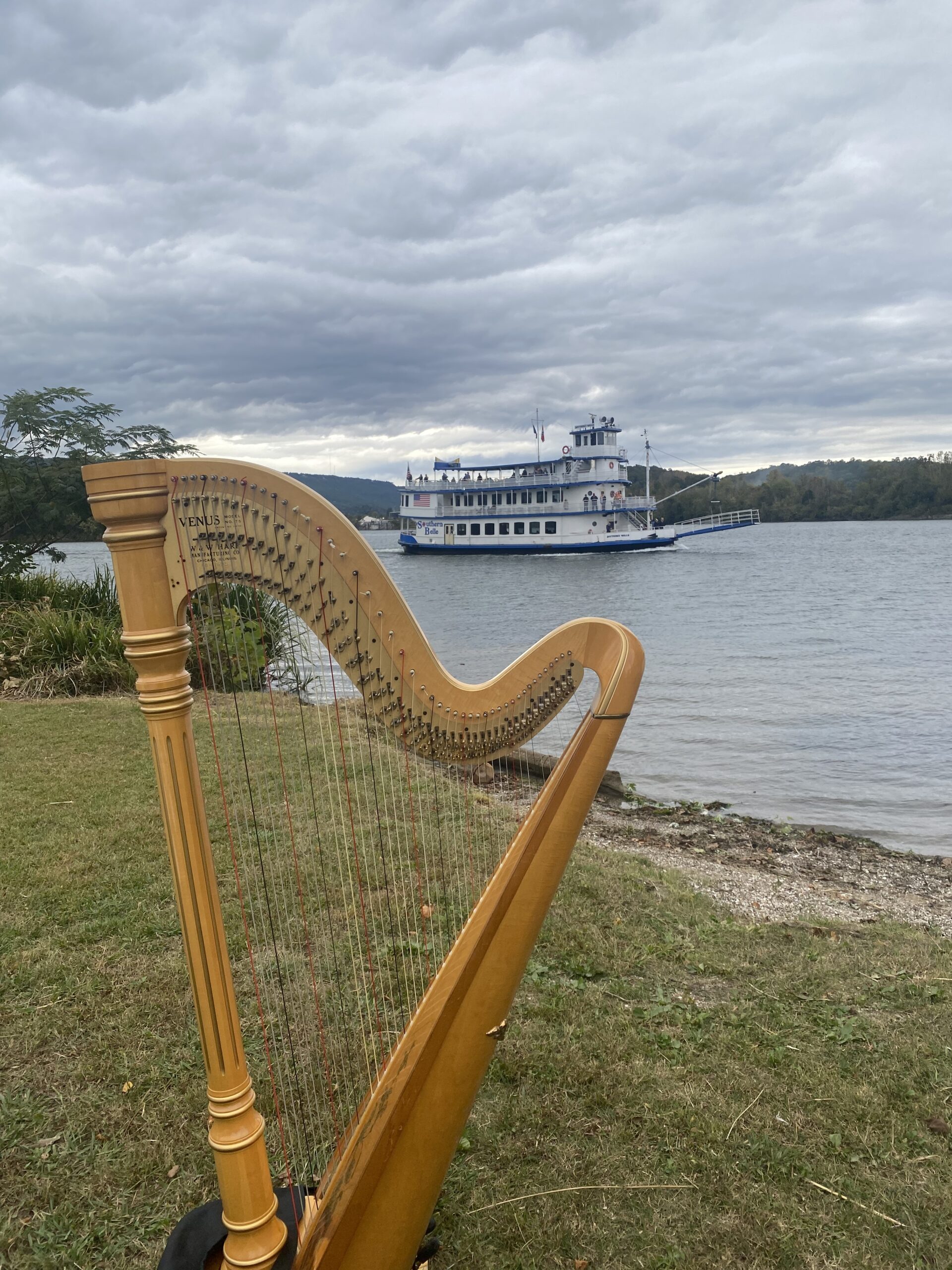 Harpist in Chattanooga