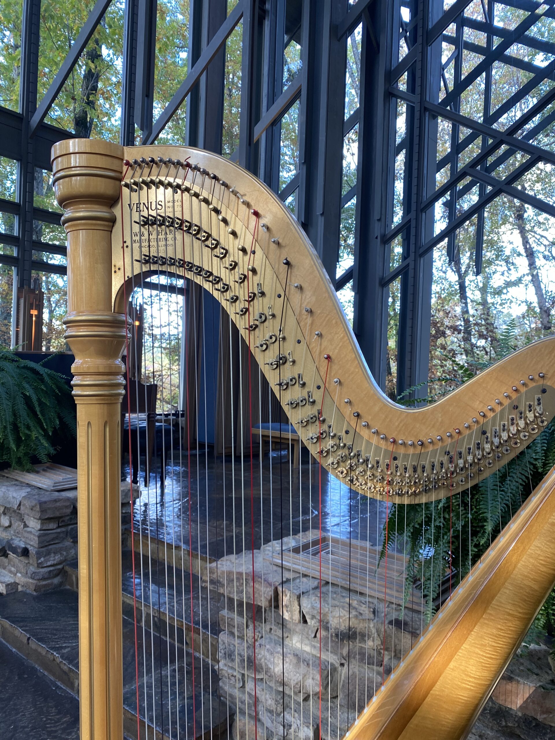 Harp Player Northwest Arkansas