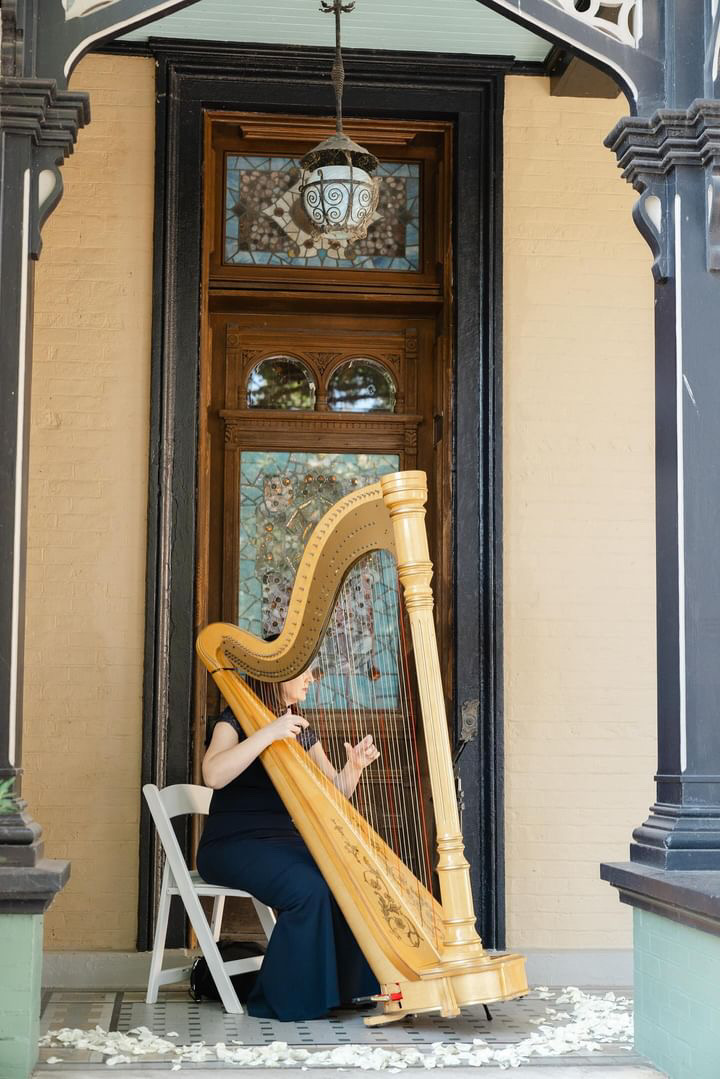 Southern Indiana Harp Player