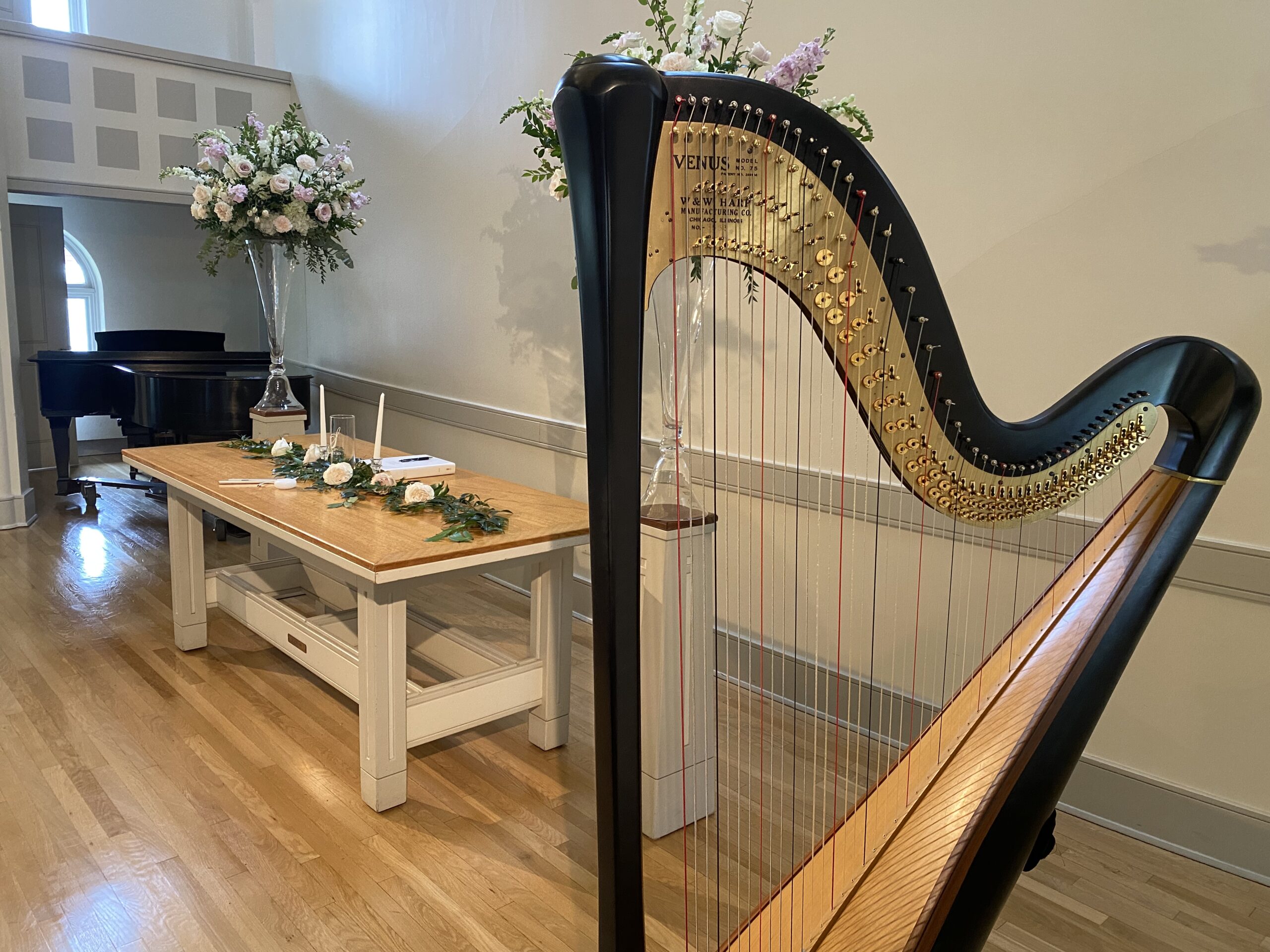 BloNo Harpist