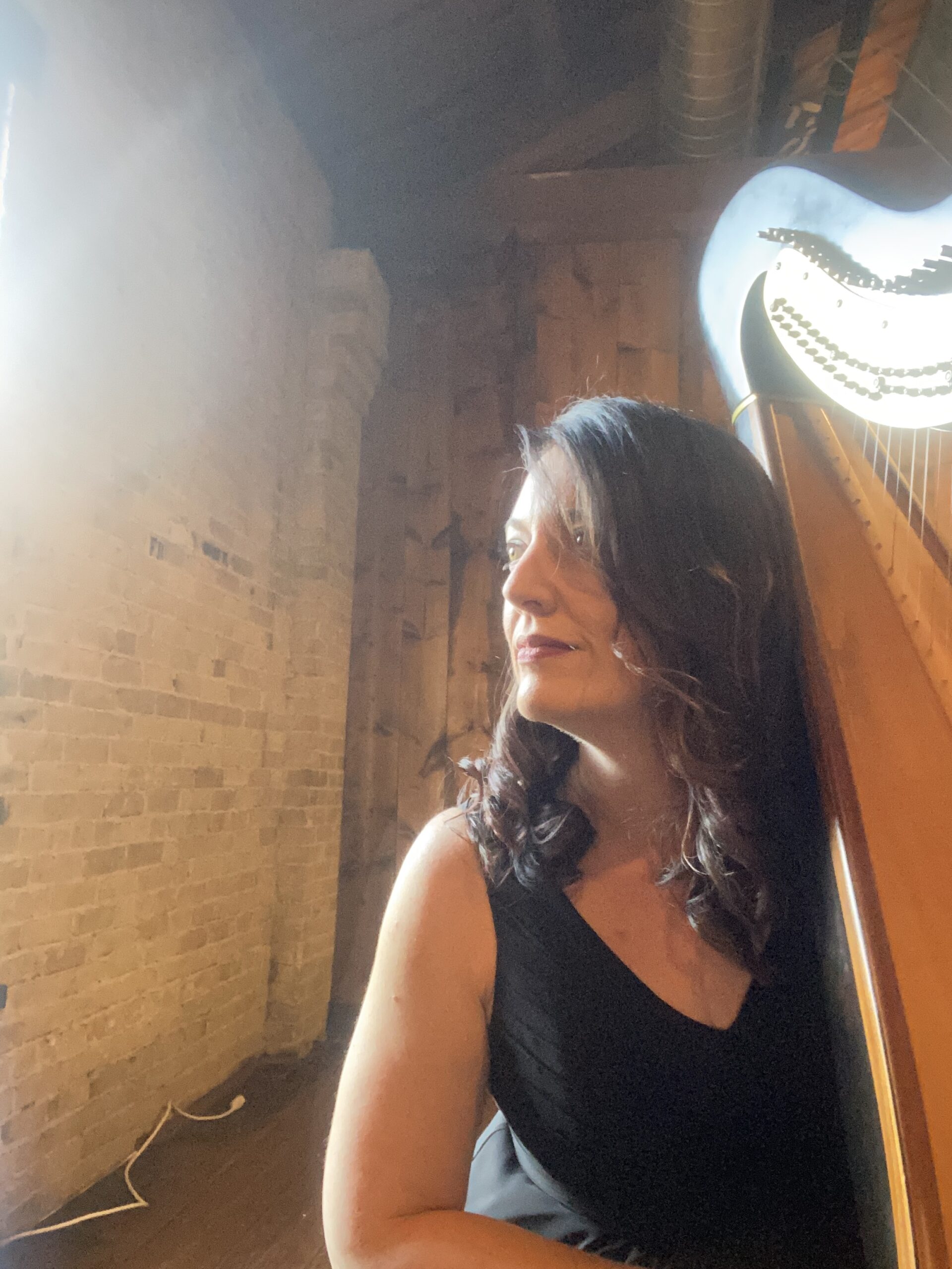 Best Harpist in Madison WI