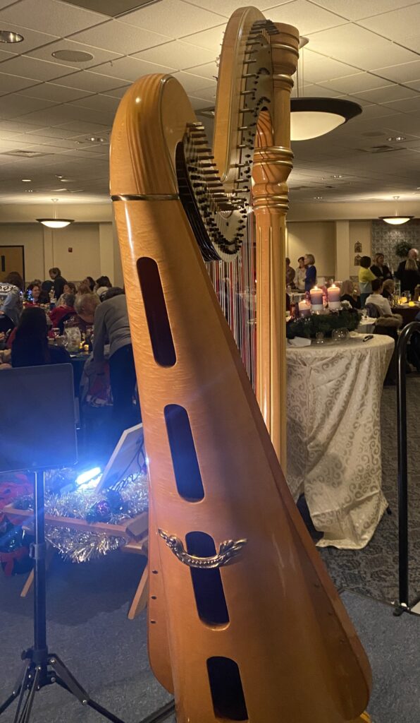 Live Music St. Louis Harp