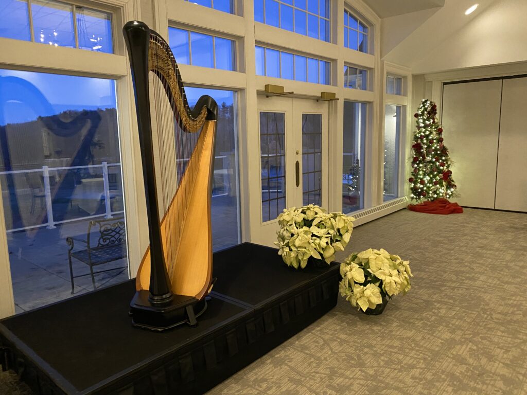 Harp Player in Green Bay WI