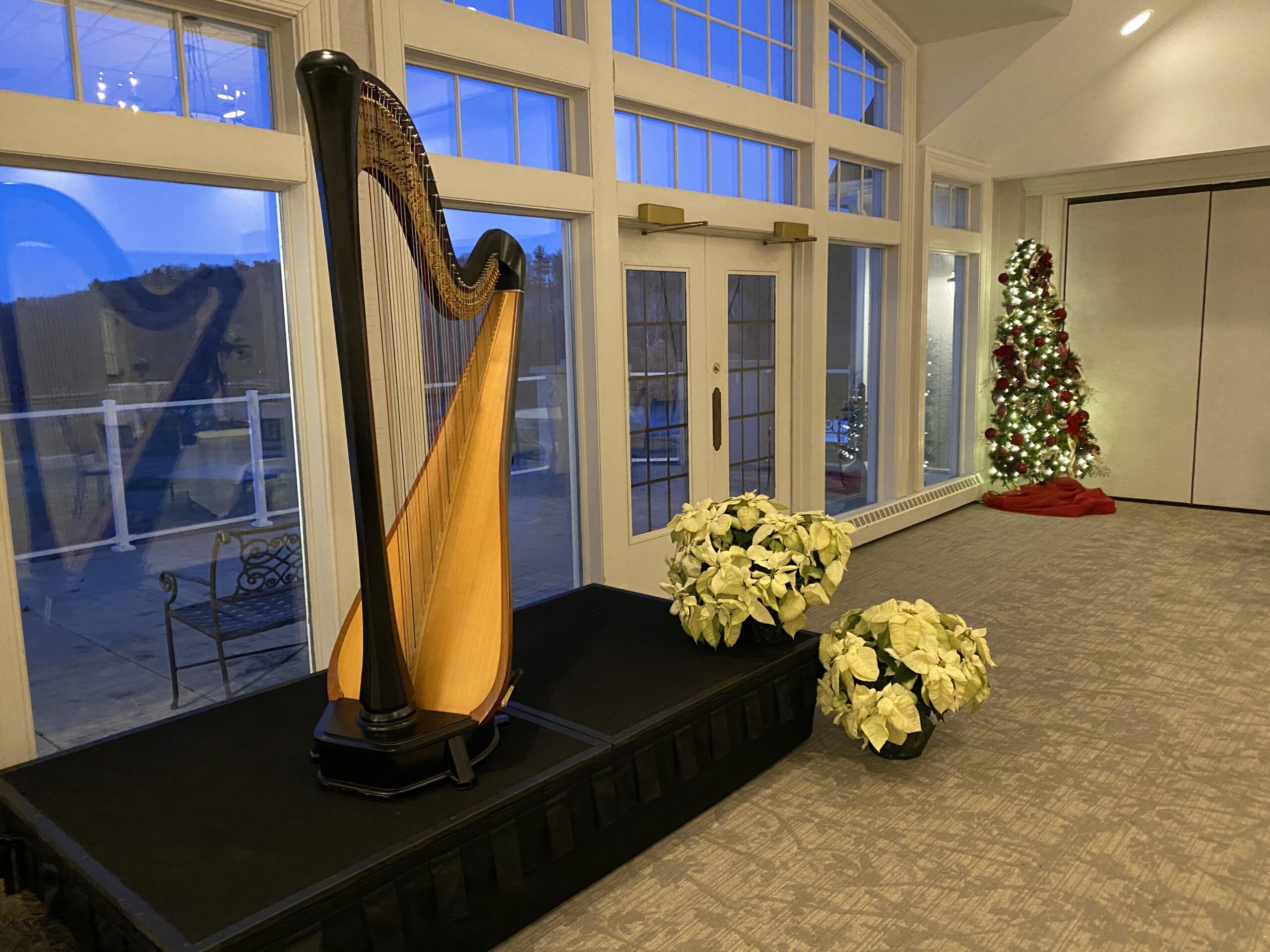 Harp Player in Green Bay WI