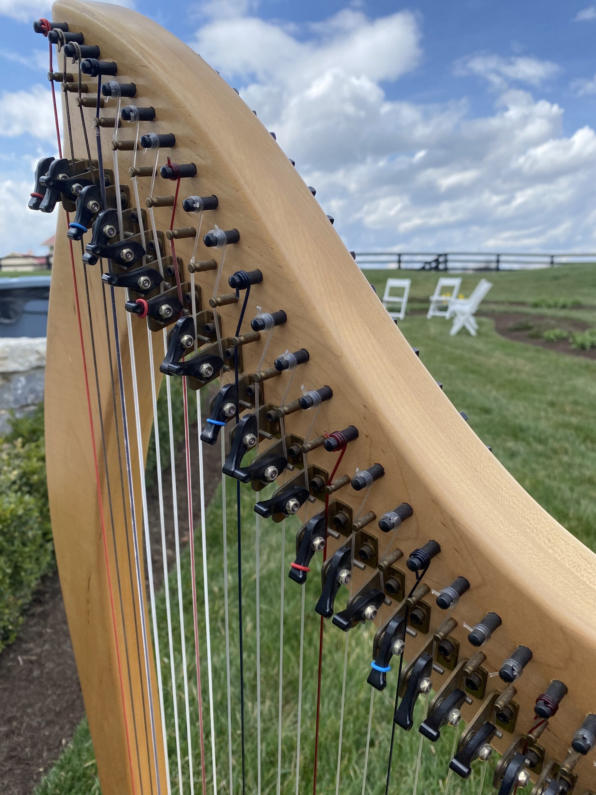 Lexington Wedding Harpist