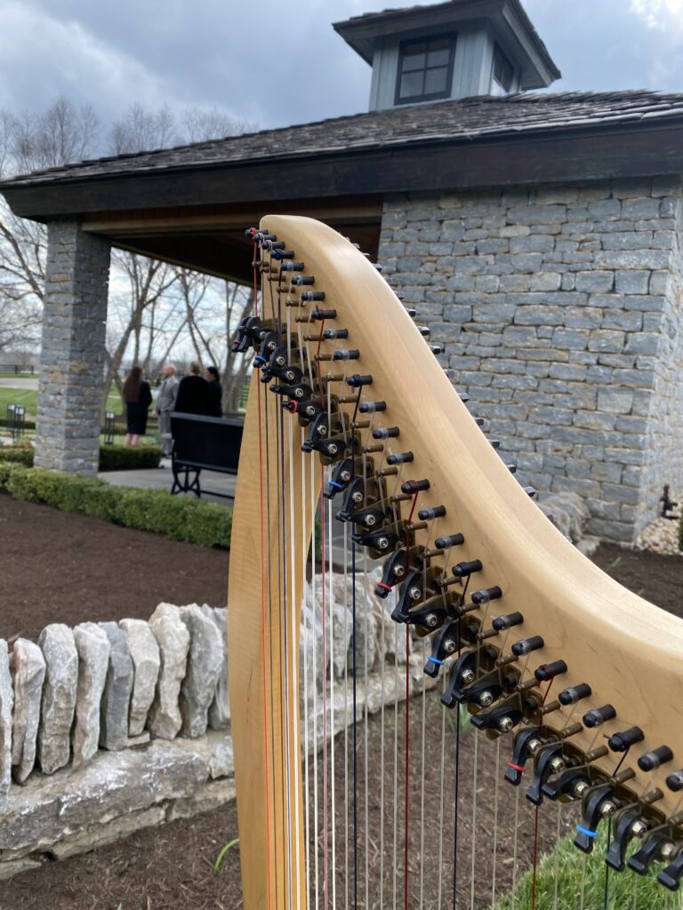 Harpist in Lexington KY