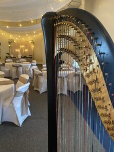 Memphis Harp Player for Weddings