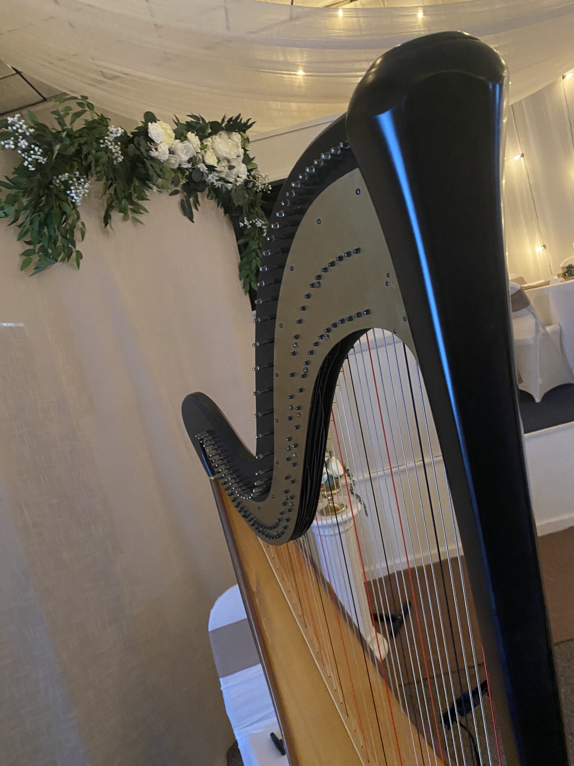 Harpist in Memphis
