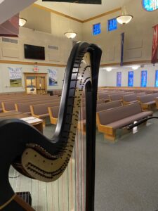 Missouri Harpist