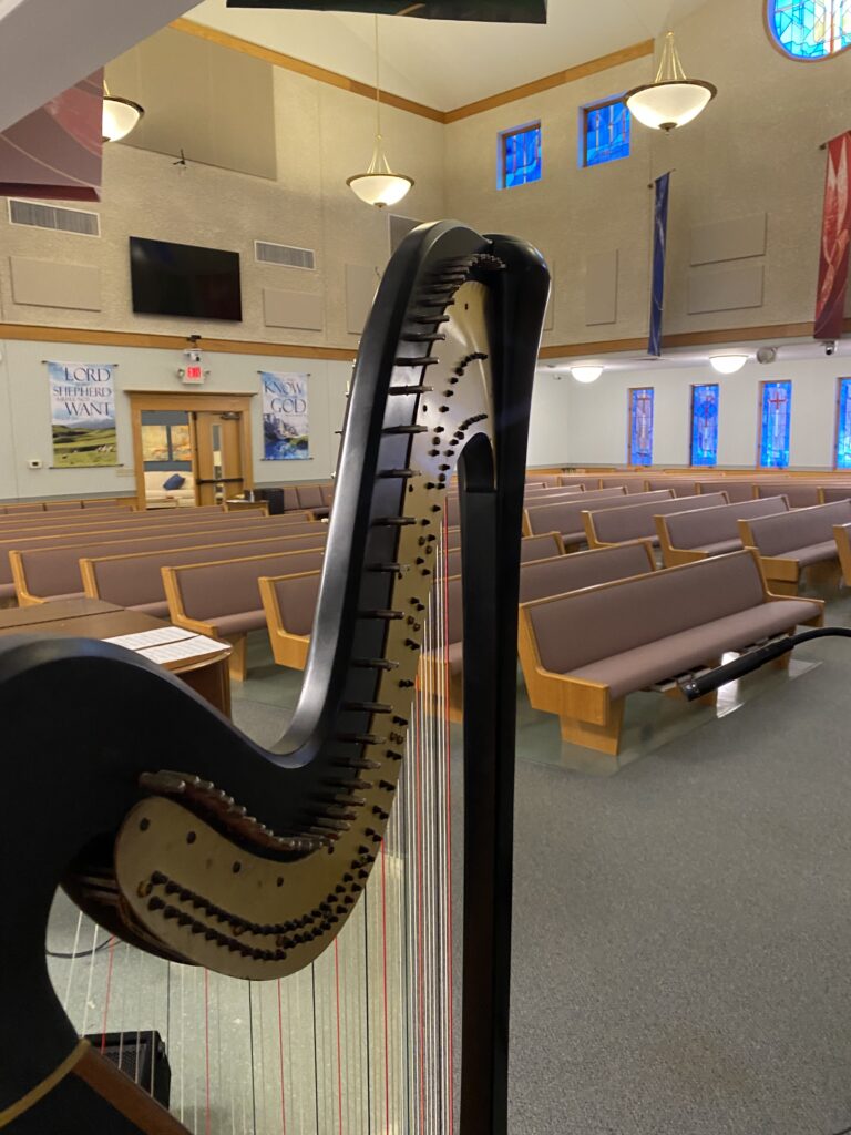 Missouri Harpist