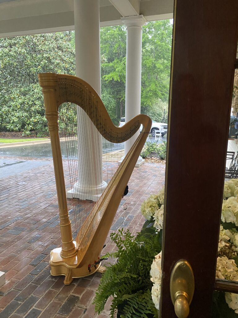 Mississippi Harpist