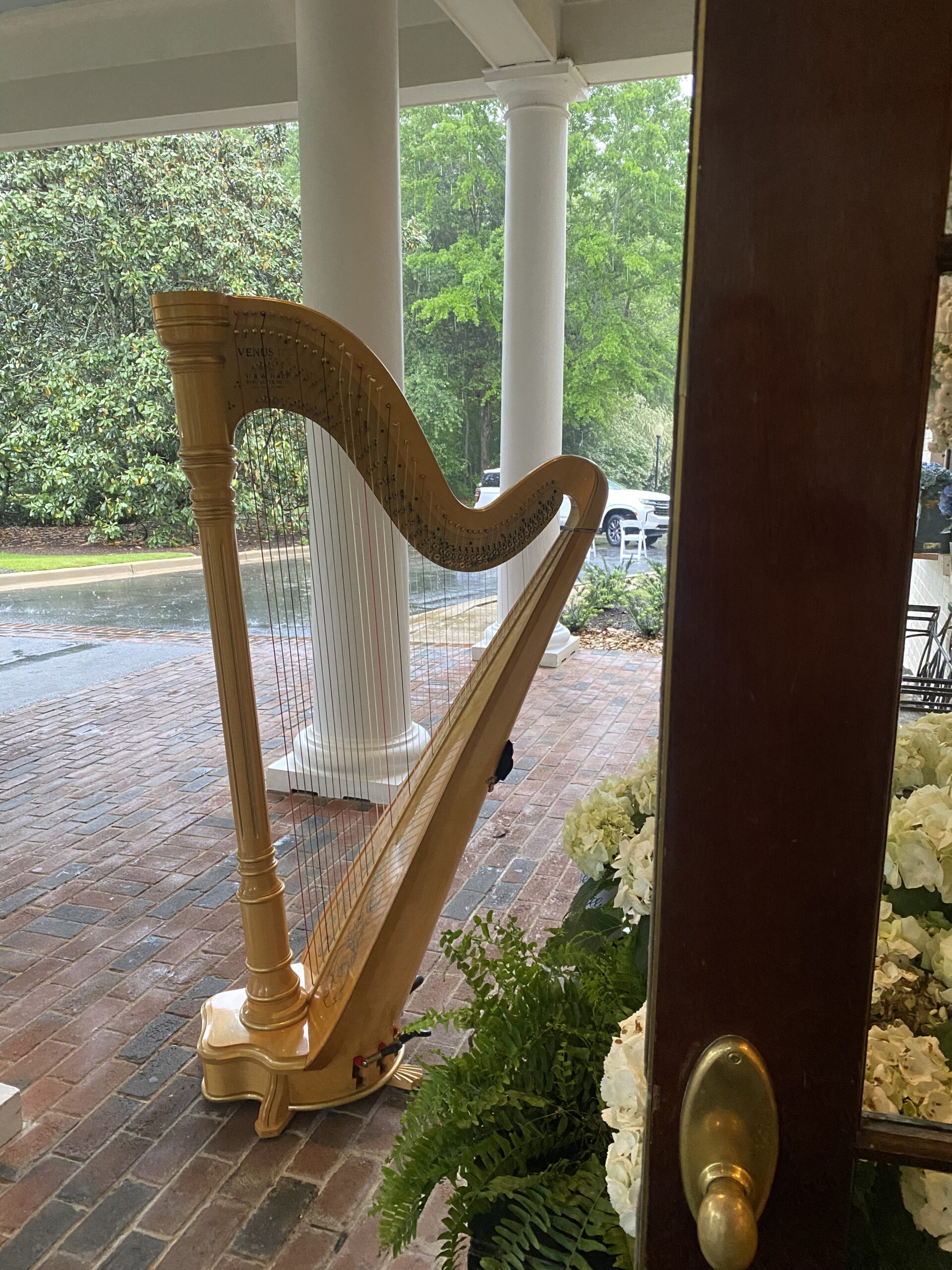 Mississippi Harpist