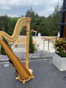 Branson Harpist