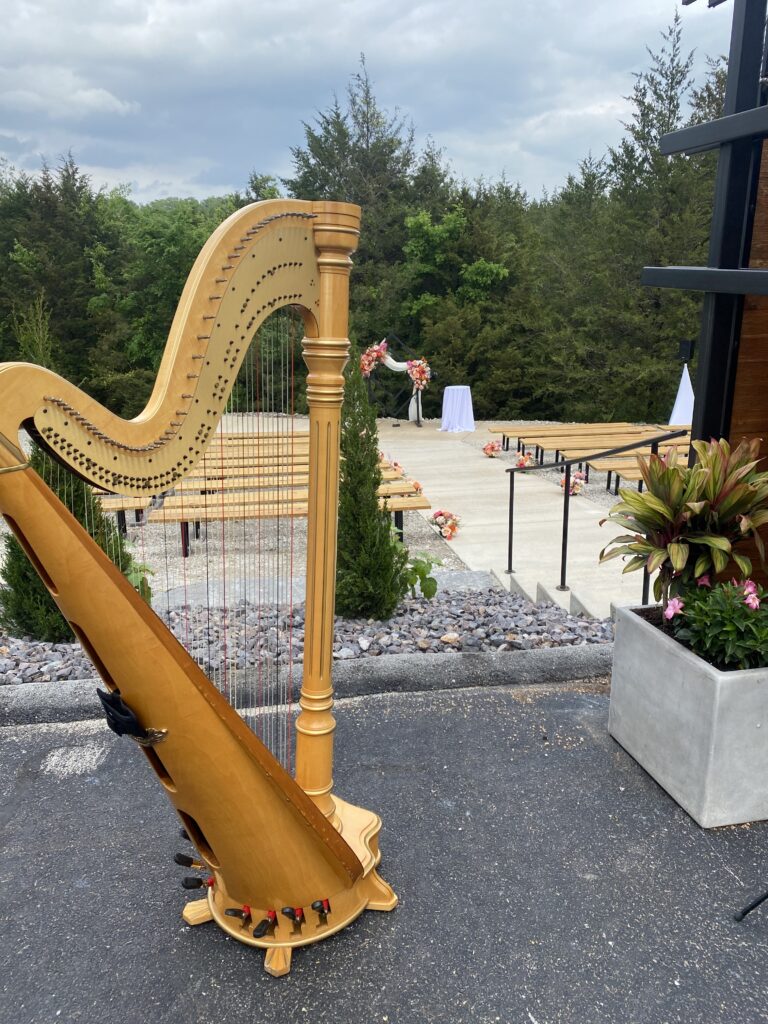 Branson Harpist