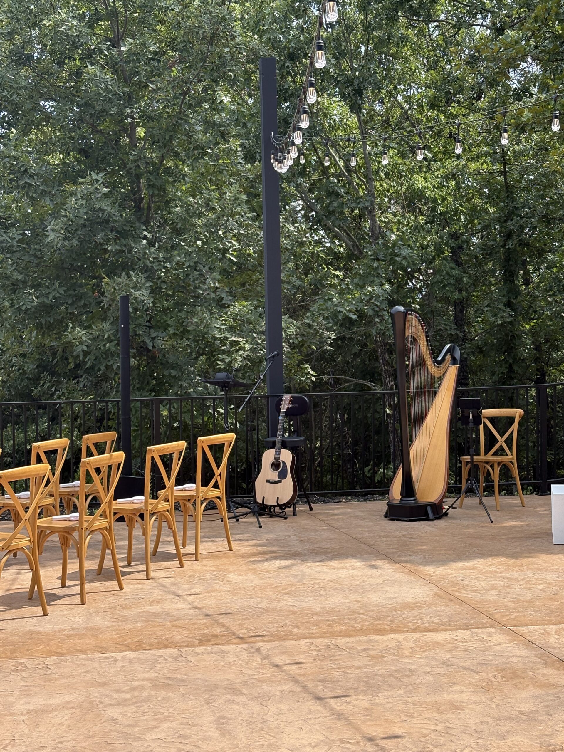 Harpist Branson Missouri
