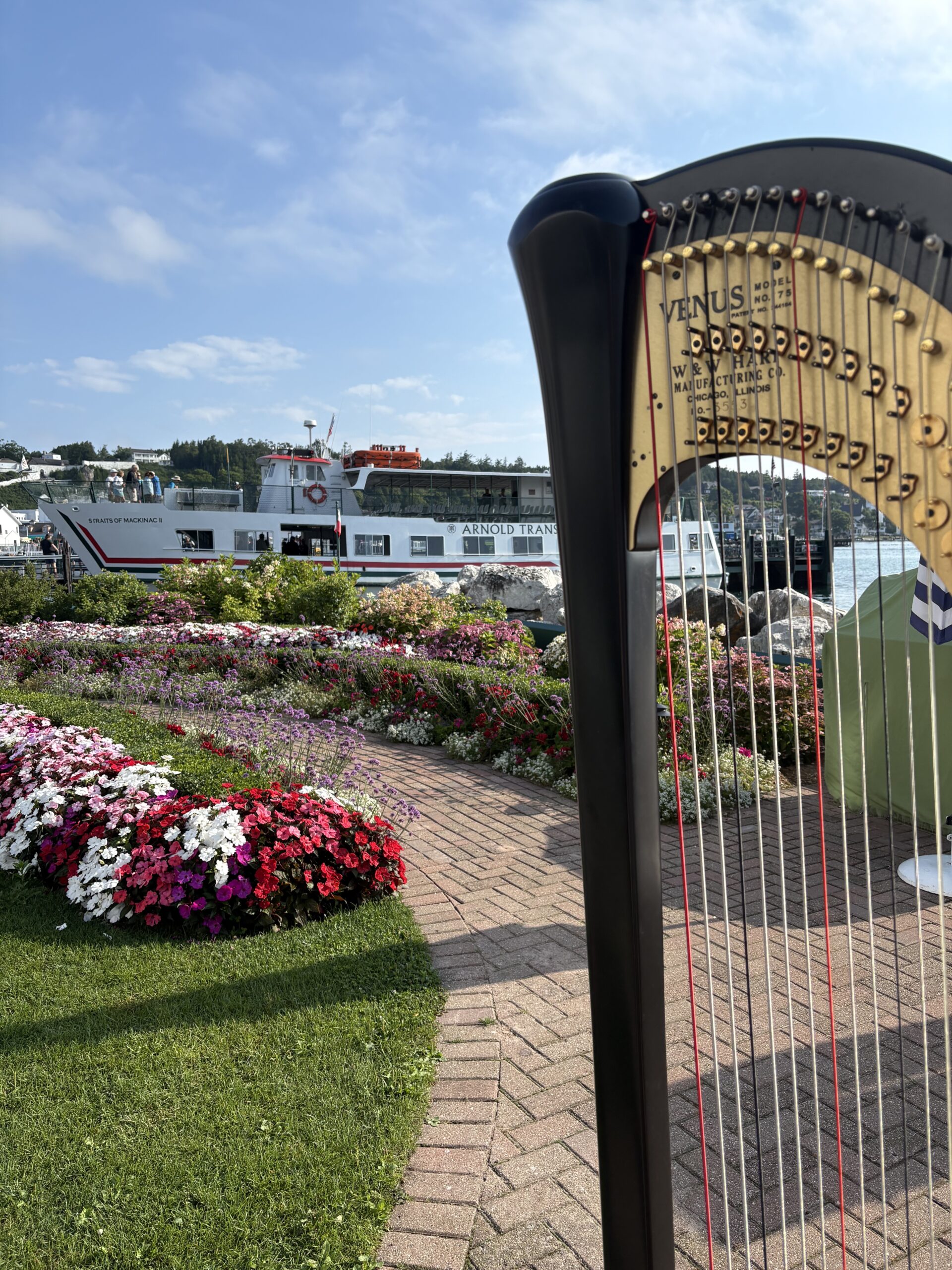 Harp Player Upper Peninsula