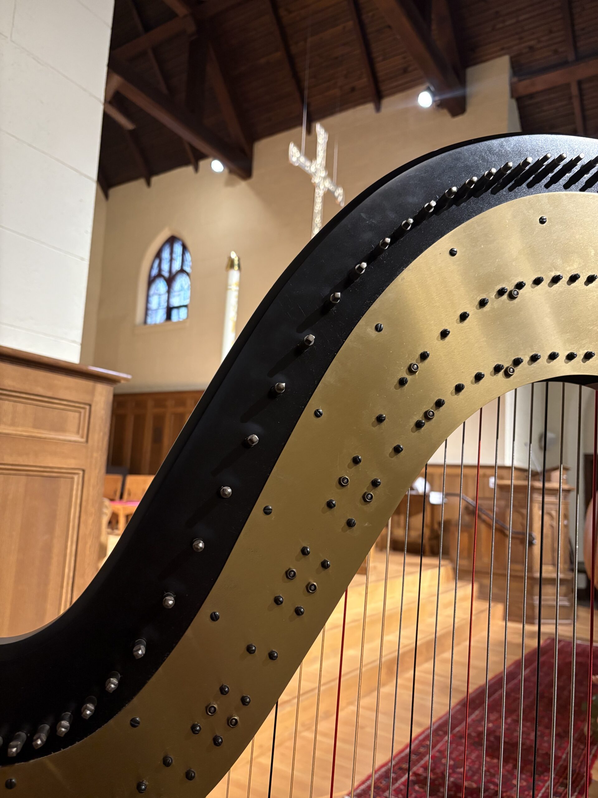 Harp Music Madison Wisconsin